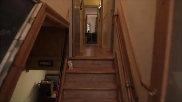 Short Dependance Apartamento *