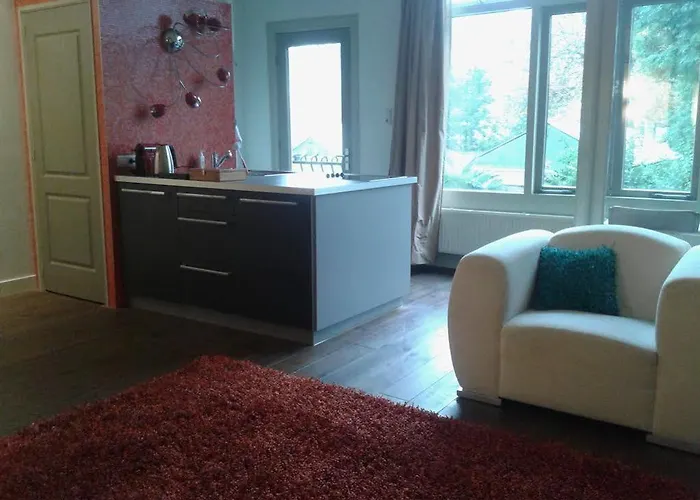 Short Dependance Apartamento *