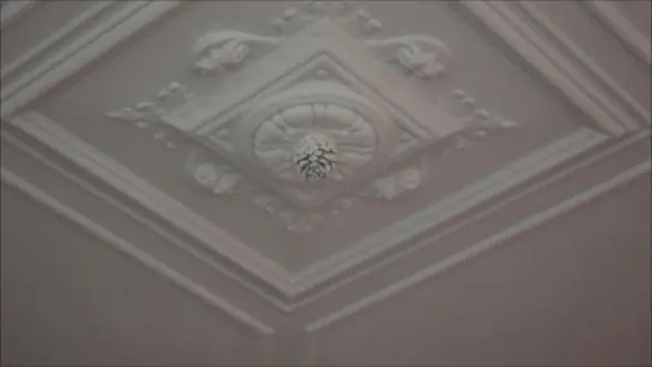 Short Dependance Apartment Rotterdam